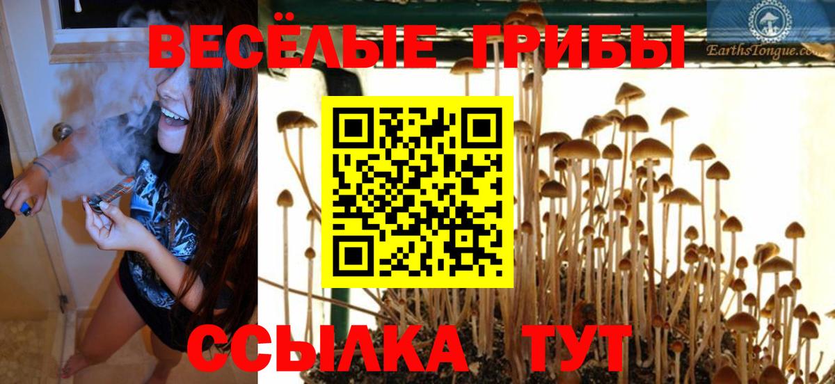 Волгоград  Псилоцибиновые грибы GOLDEN TEACHER  Вход с VPN 